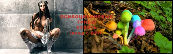 spice Абдулино