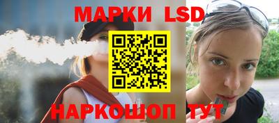 прущие грибы Сланцы