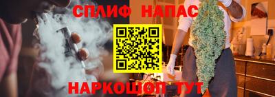 прущие грибы Сланцы