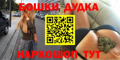 прущие грибы Сланцы