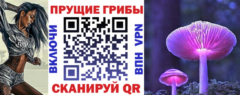 Галлюциногенные грибы Psilocybine cubensis Азов