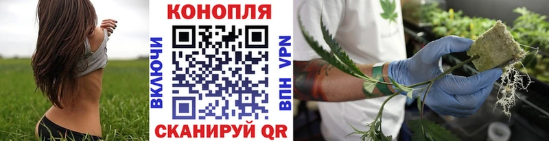 где можно купить   Азов  Каннабис тримм 